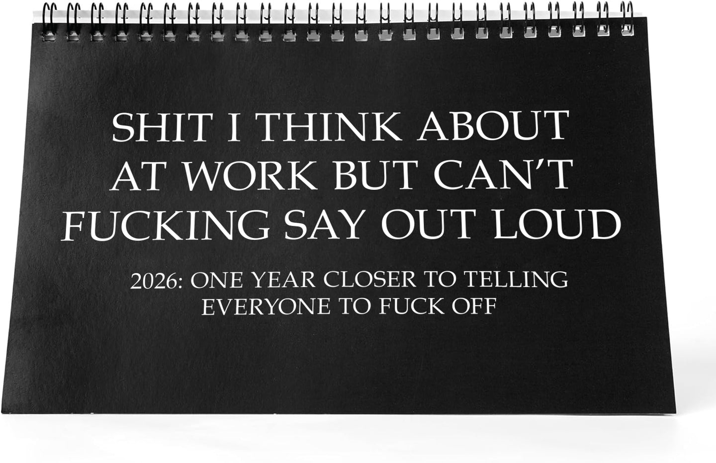 Work Desk Calendar - Demotivational Affirmations Calendar White Elephant Gag Gift Idea - Funny Novelty Monthly Rude Office Calendar - Funny Sarcasm Quotes for Colleagues Friends Boss Coworkers