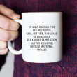 Load image into Gallery viewer, I&#39;d Walk Through Fire For You Sister Coffee Mug